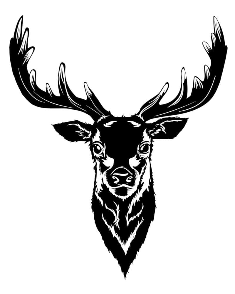 10 Free Deer Pyrography Patterns For Wood Burning In 2025