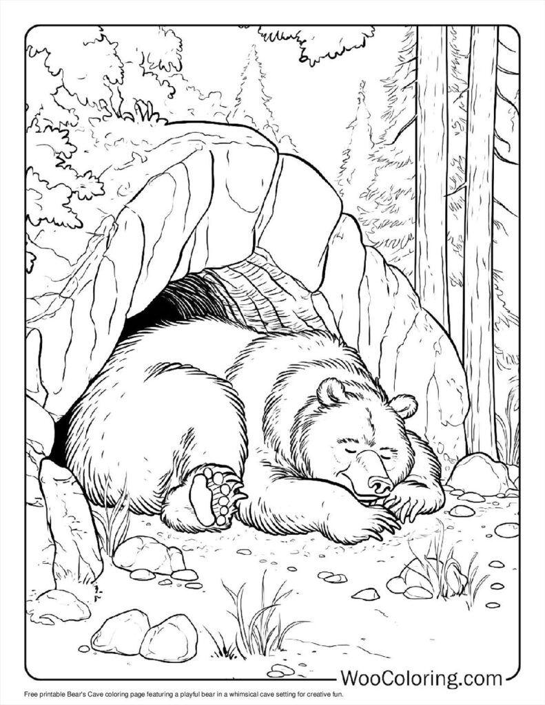 Free Printable Coloring Pages Black Bear