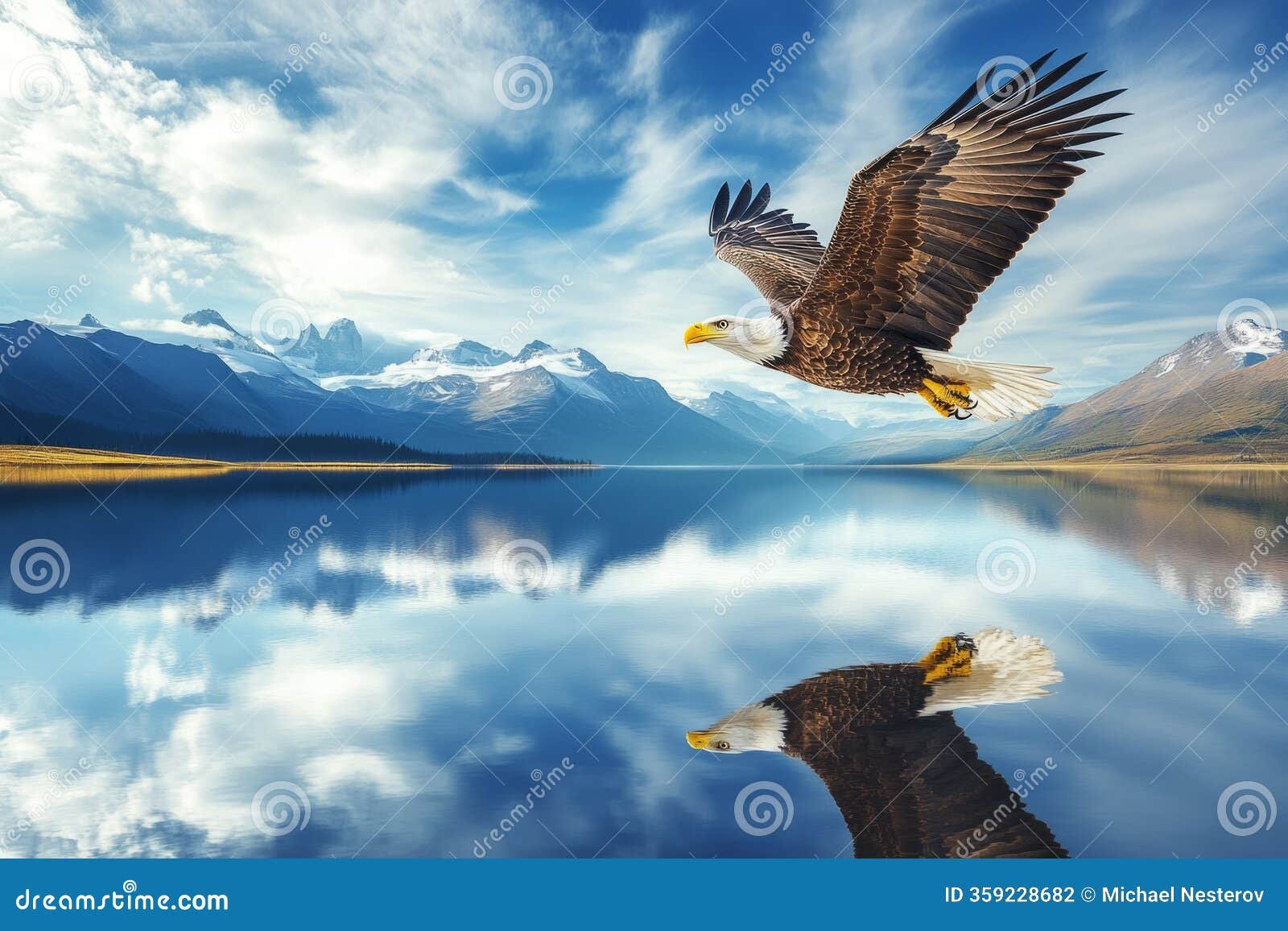 2 985 Eagle Flying Mountains Stock Photos Free Royalty Free Stock Photos From Dreamstime