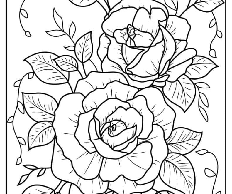 20 Rose Coloring Pages Free PDF Printables