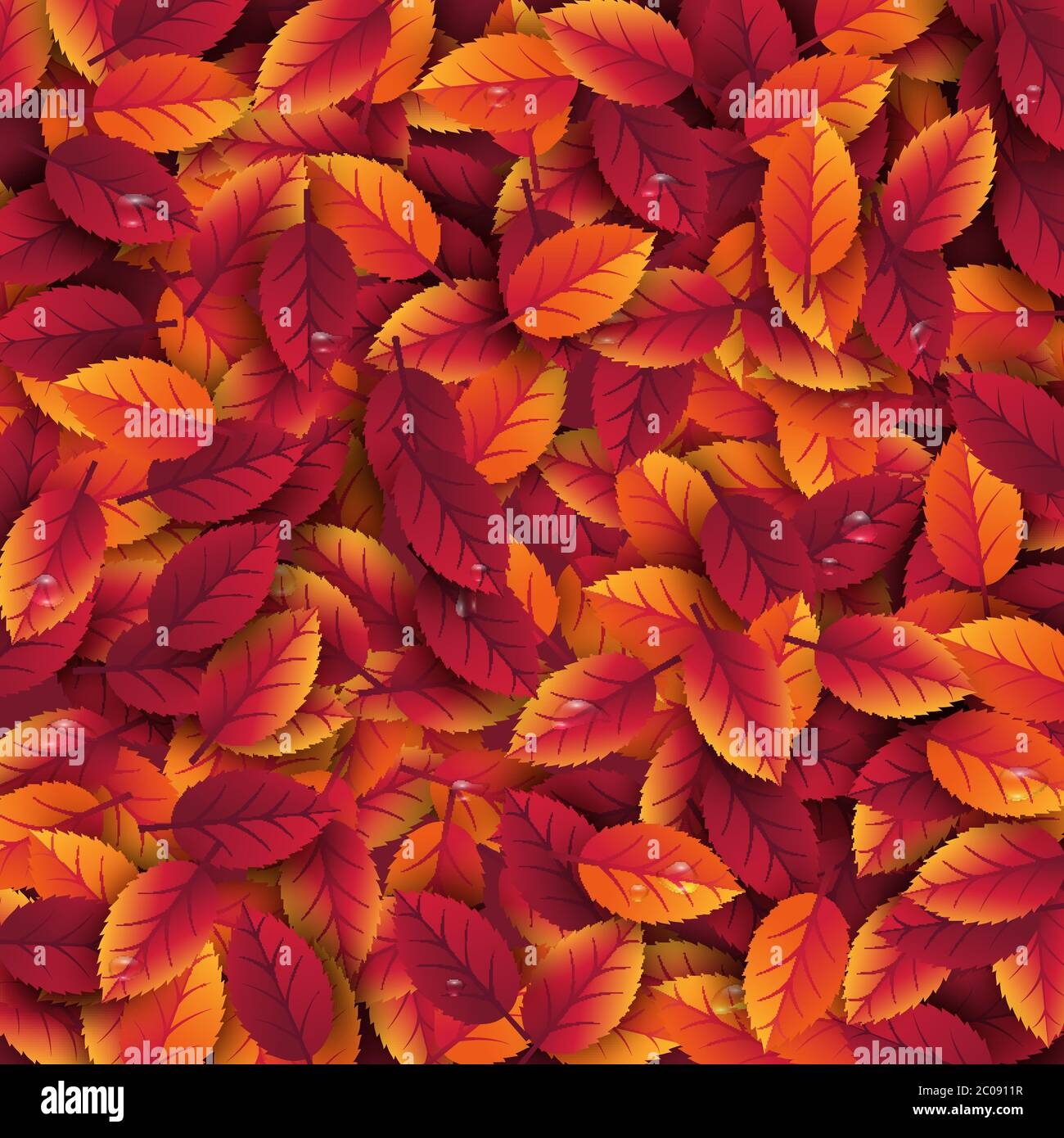 3d Realistic Autumn Leaves With Water Drop Autumnal Background In Red Orange And Yellow Colors Design For Web Print Wallpaper Vector Stock Vector Image Art Alamy