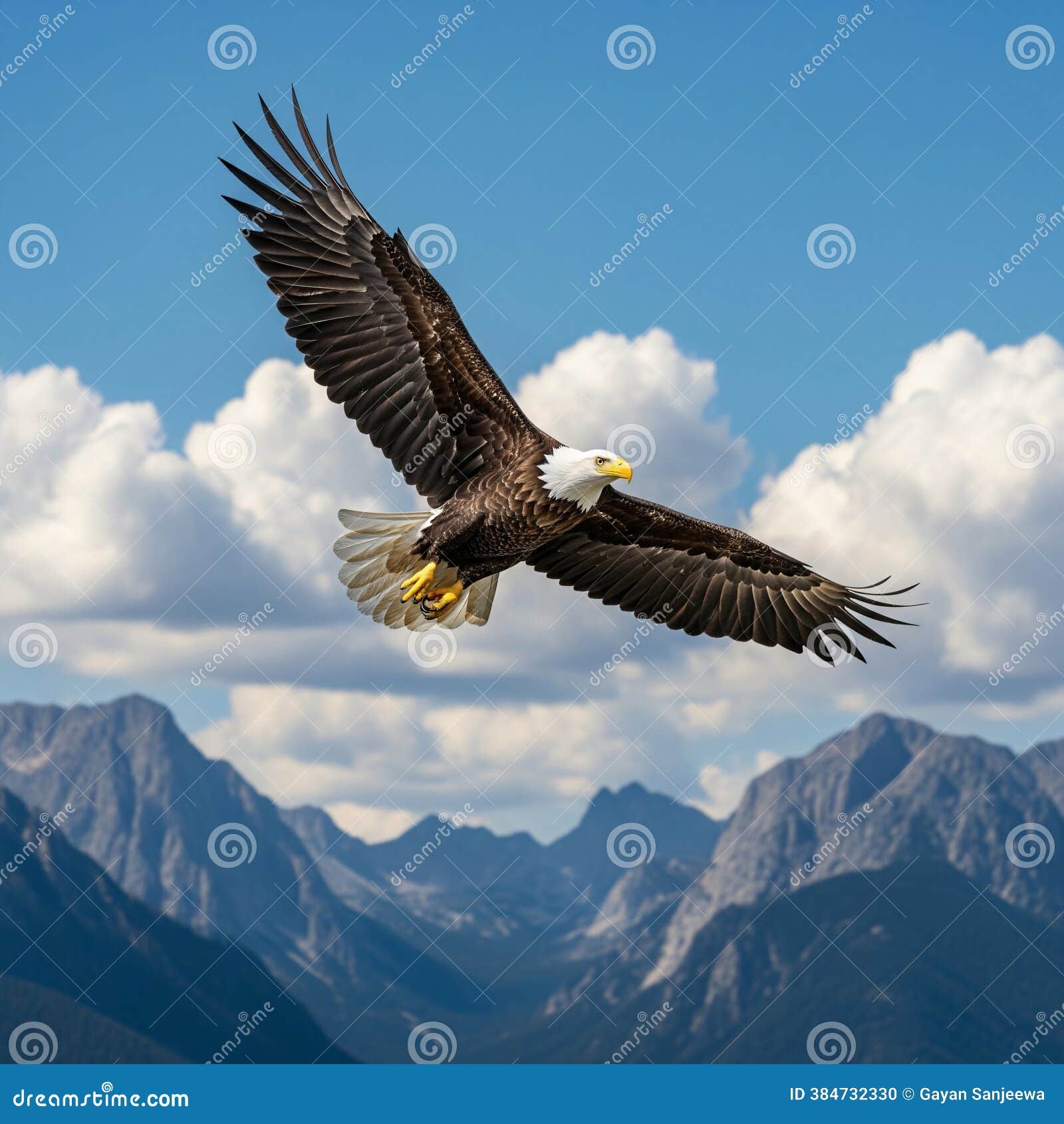 572 Eagle Soaring Over Mountain Stock Photos Free Royalty Free Stock Photos From Dreamstime