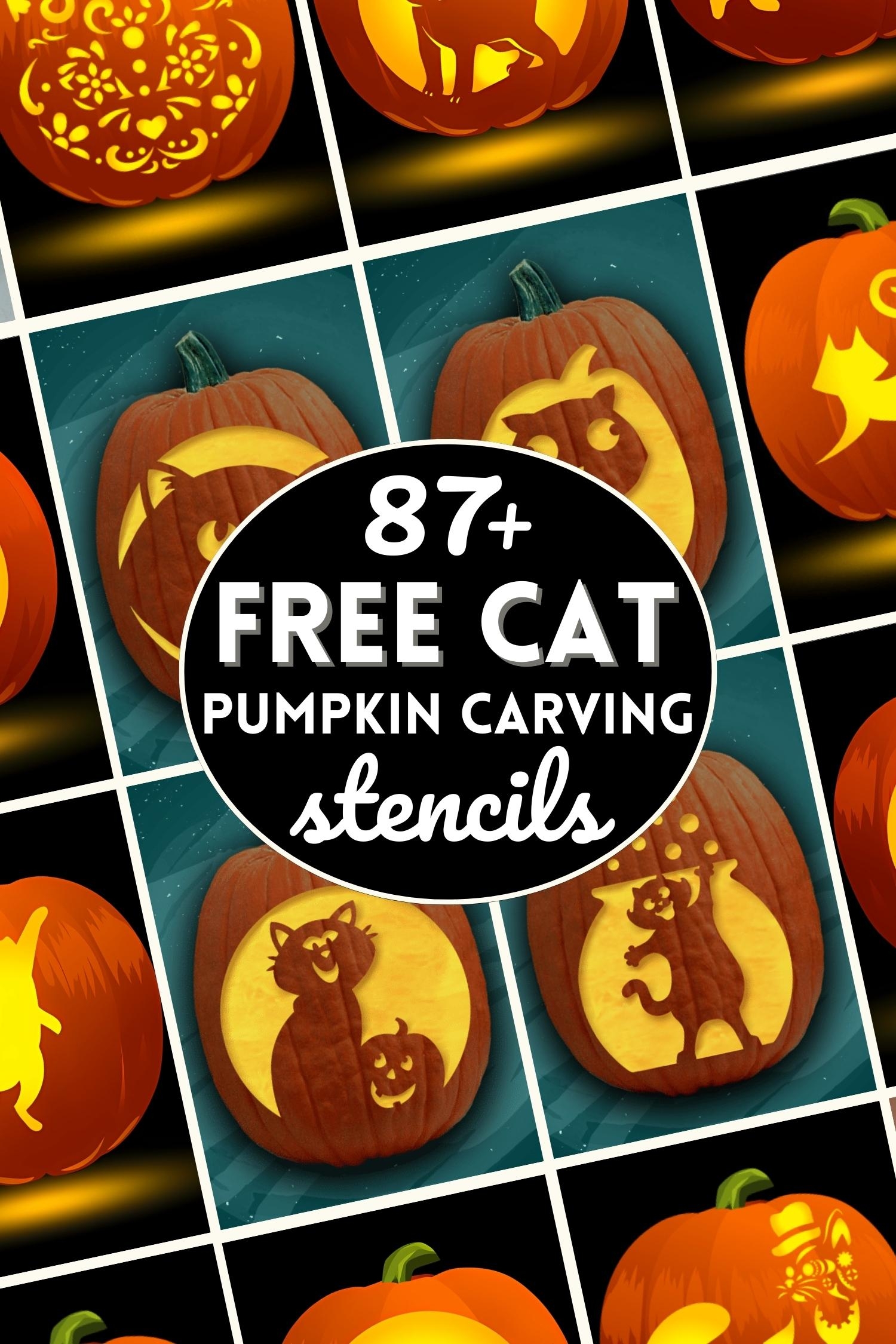 Pumpkin Masters Beware Pattern Printable