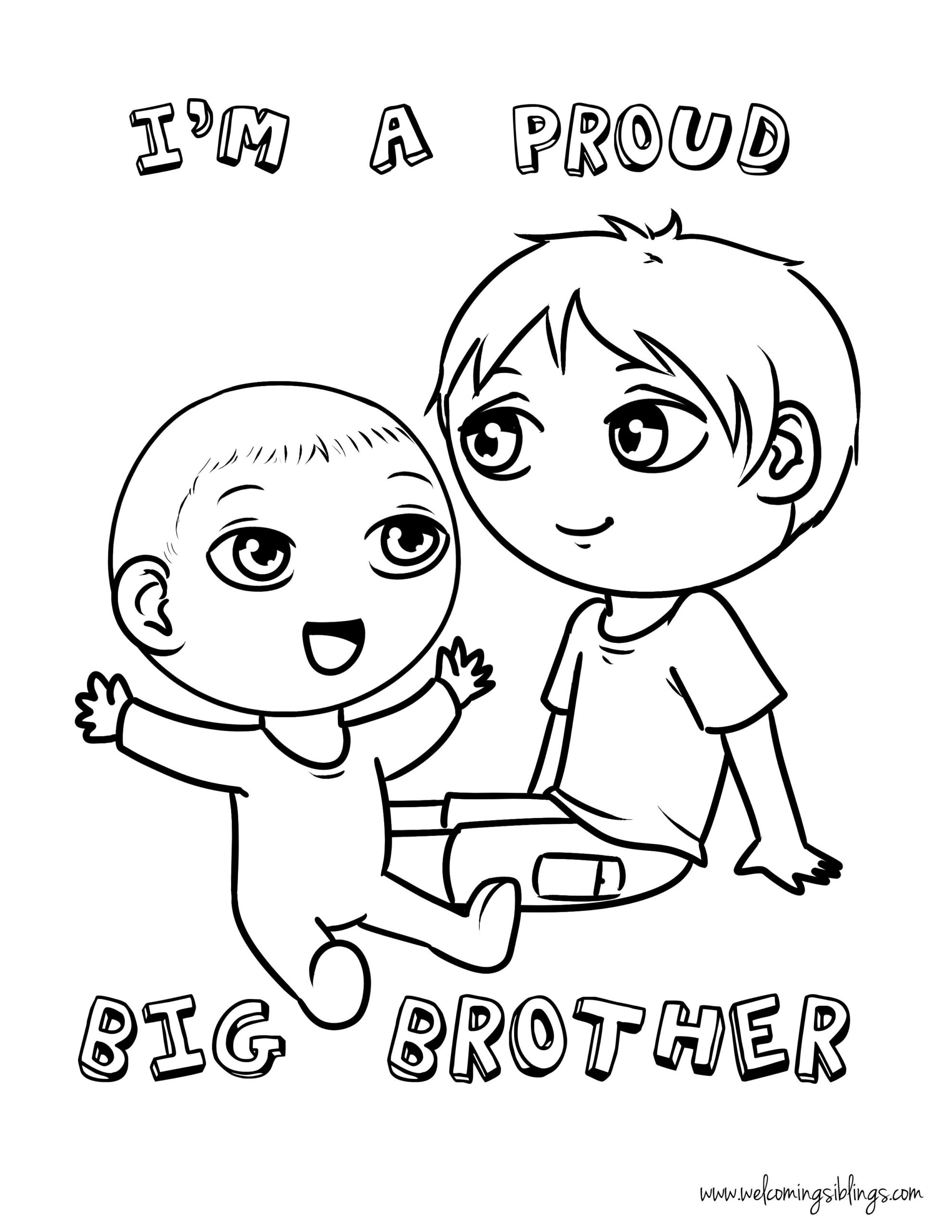 9 Ideas For Big Brothers New Baby Products Big Brother Big Brother Gifts