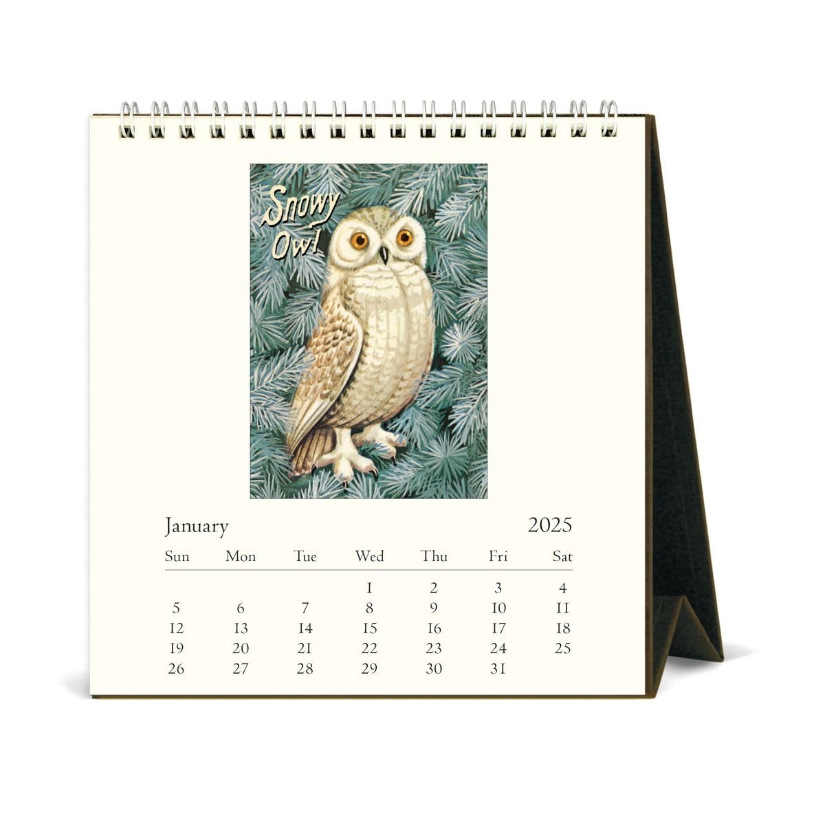 Amazon Cavallini 2025 Vintage Owls Easel Desk Calendar 6 X 6 5 Inches 12 Month Page A Month Standing Desk Calendar Vintage style Illustrations Of Owls Small And Cute Desktop Flip Calendar 2025 Office Products