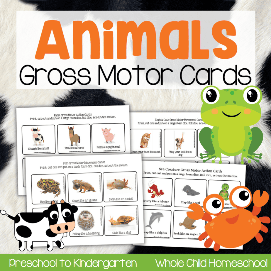 Animals Gross Motor Cards Ocean Farm Pets 