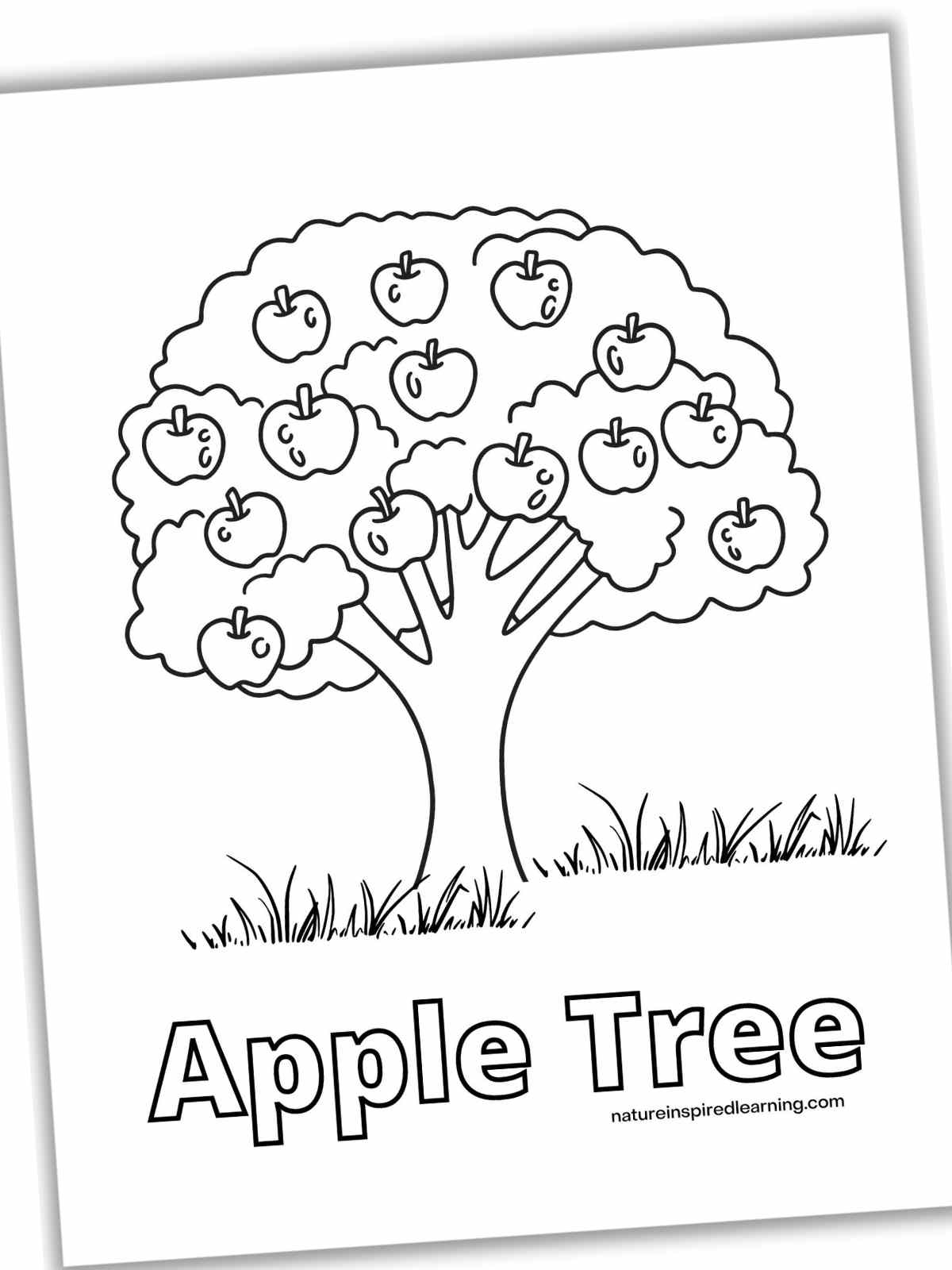 Apple Tree Coloring Pages Nature Inspired Learning