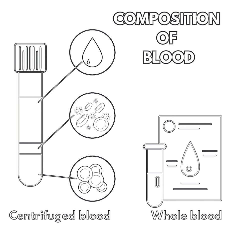 Blood Concept Coloring Pages Mimi Panda