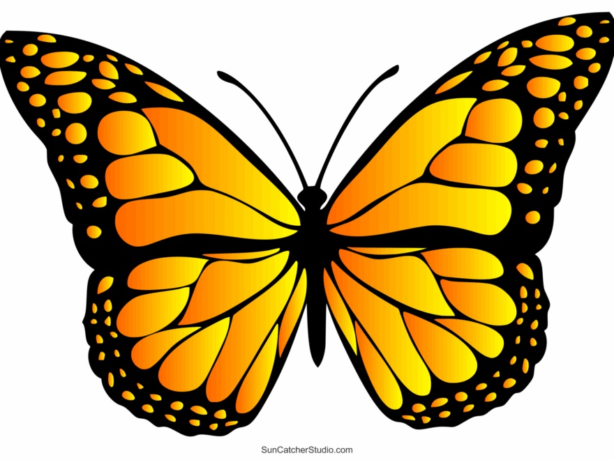 Butterfly SVG Files Printable Templates Patterns Clipart Free Printables Monograms Design Tools Patterns DIY Projects