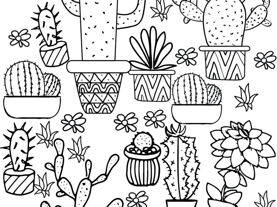 Cactus And Succulent Printable Adult Coloring Pages