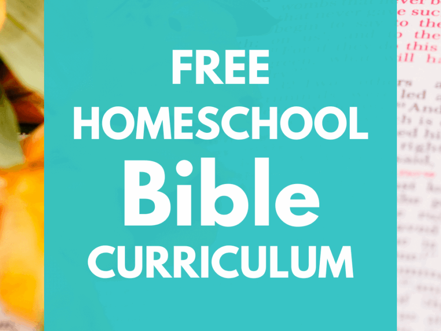 Free Homeschool Bible Curriculum Freedom Homeschooling