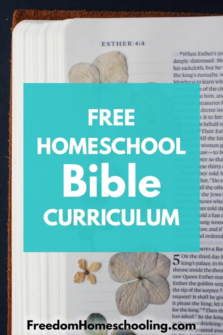Free Printable Homeschool Bible Curriculum