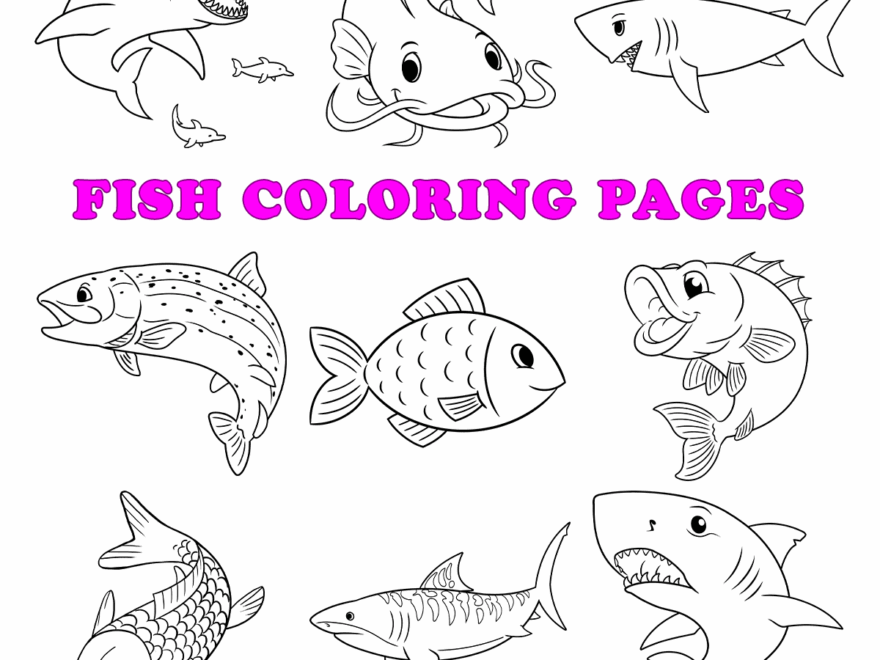 Free Printable Fish Coloring Pages For Kids