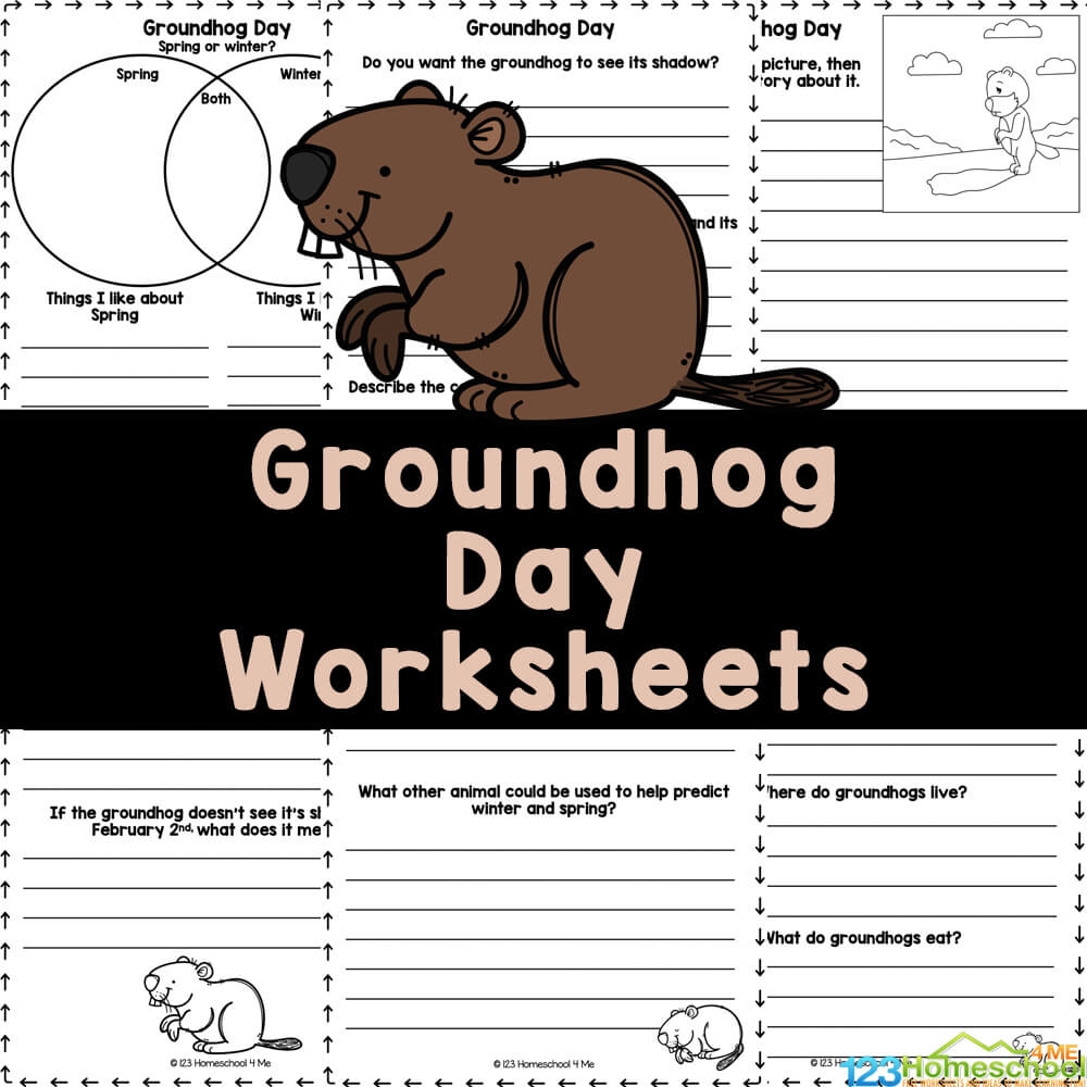 FREE Printable Groundhog Day Worksheets For 1st 4th Grade