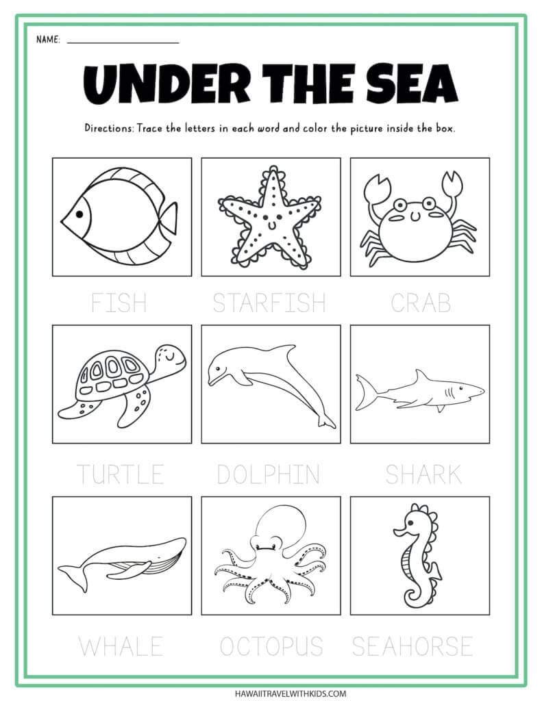 Free Printable Ocean Activity Pages For Preschoolers And Worksheets Library