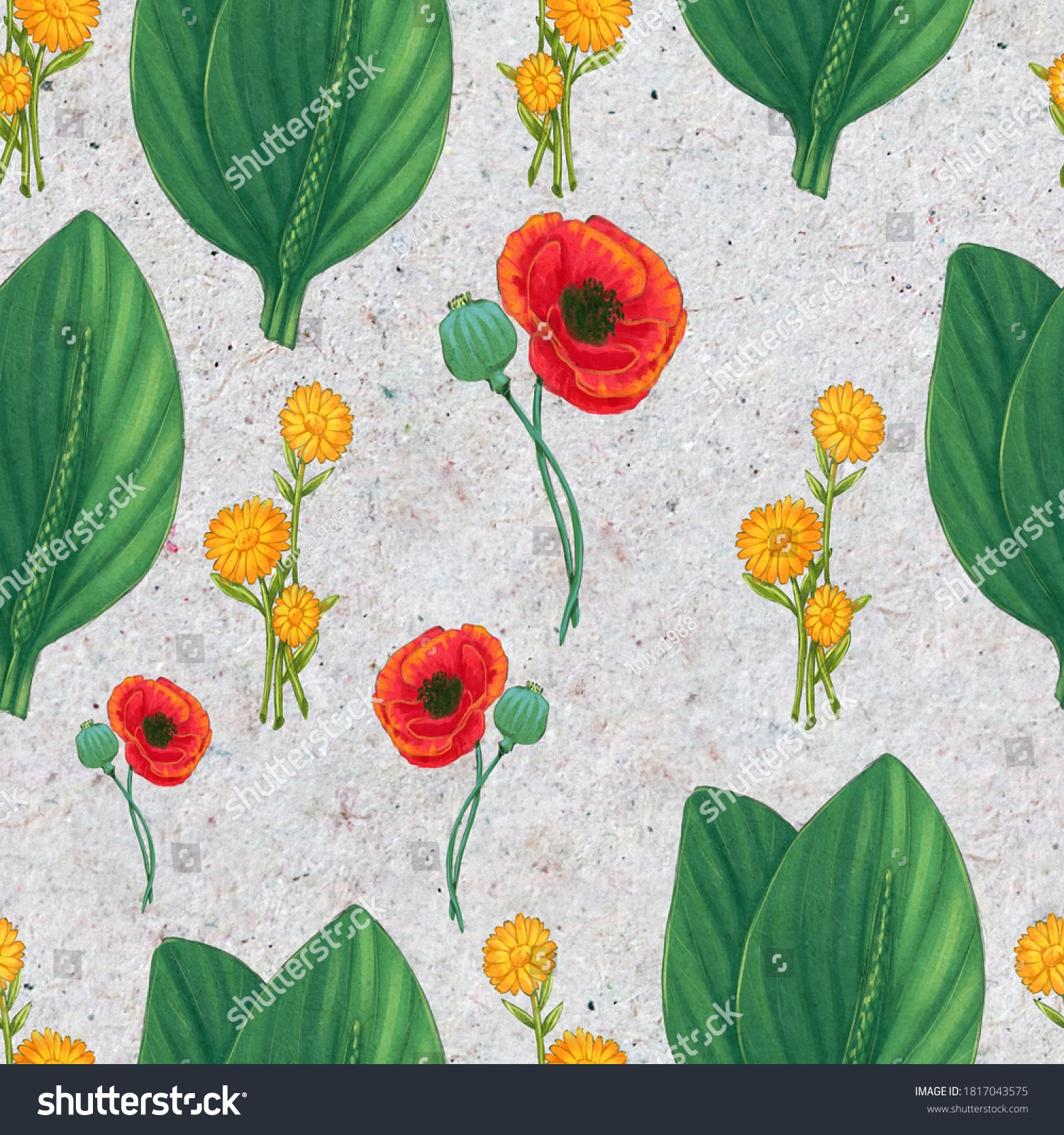 Hand Drawn Medicinal Plant Seamless Pattern Stock Illustration 1817043575 Shutterstock
