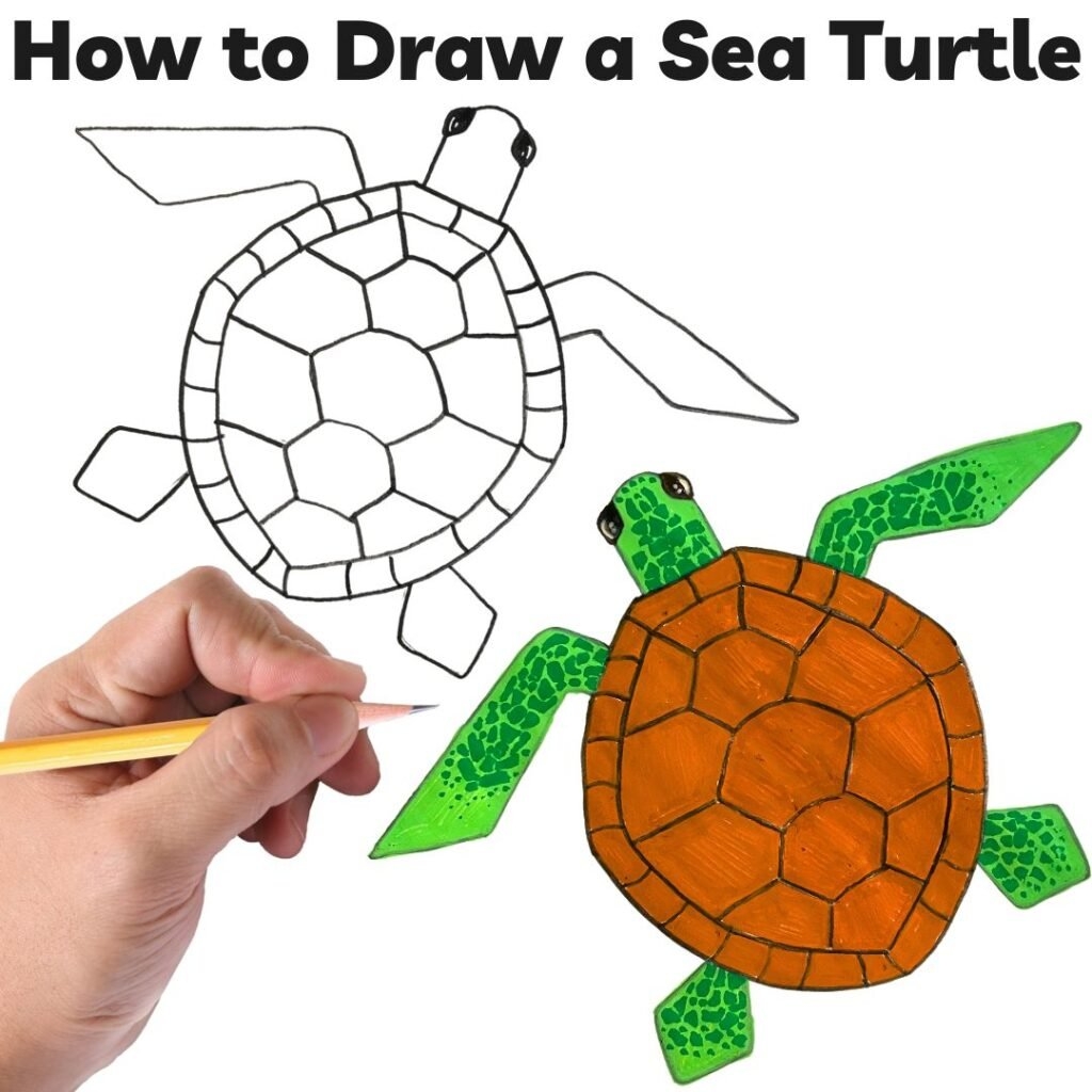 How To Draw A Sea Turtle Easy Step By Step Tutorial