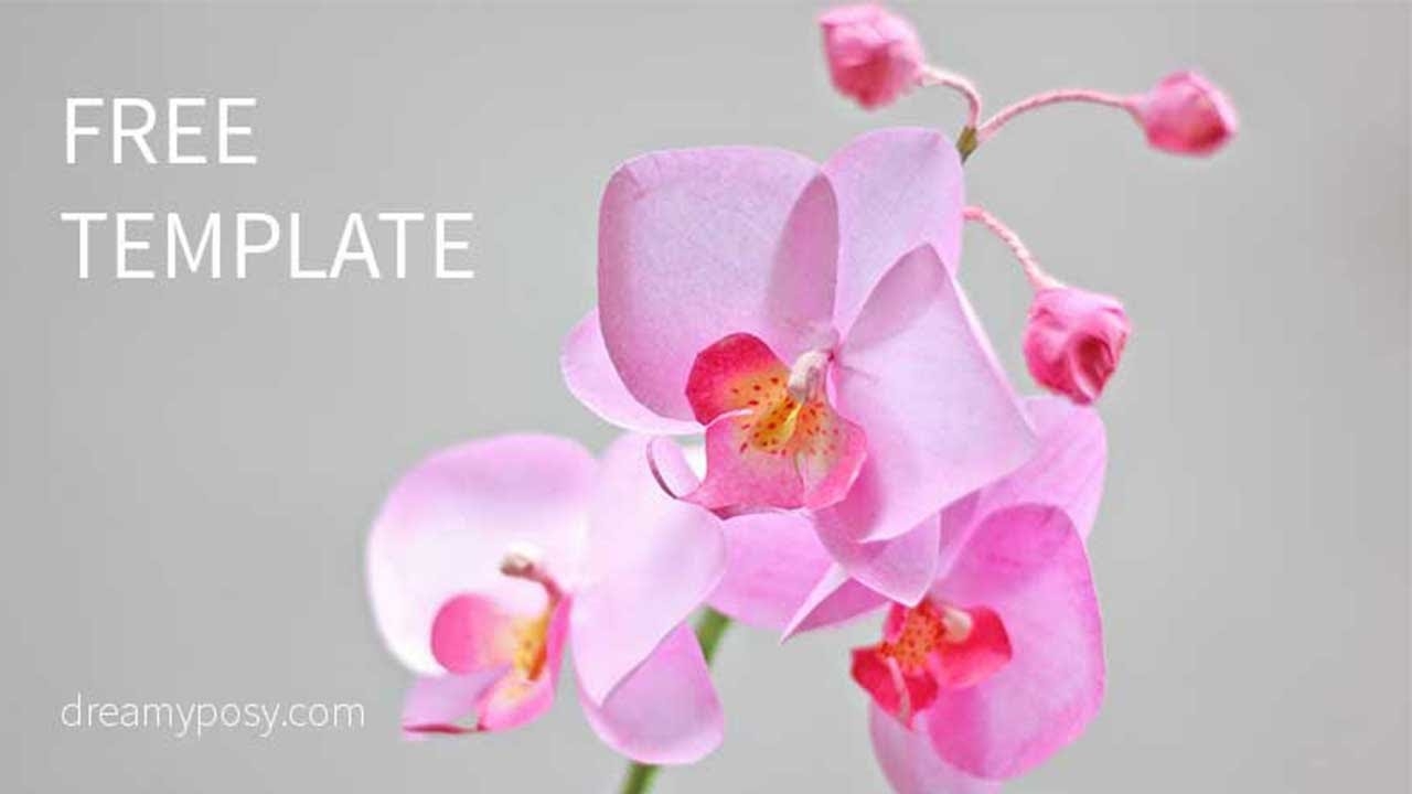 How To Make Orchid Paper Flower From Printer Paper FREE Template