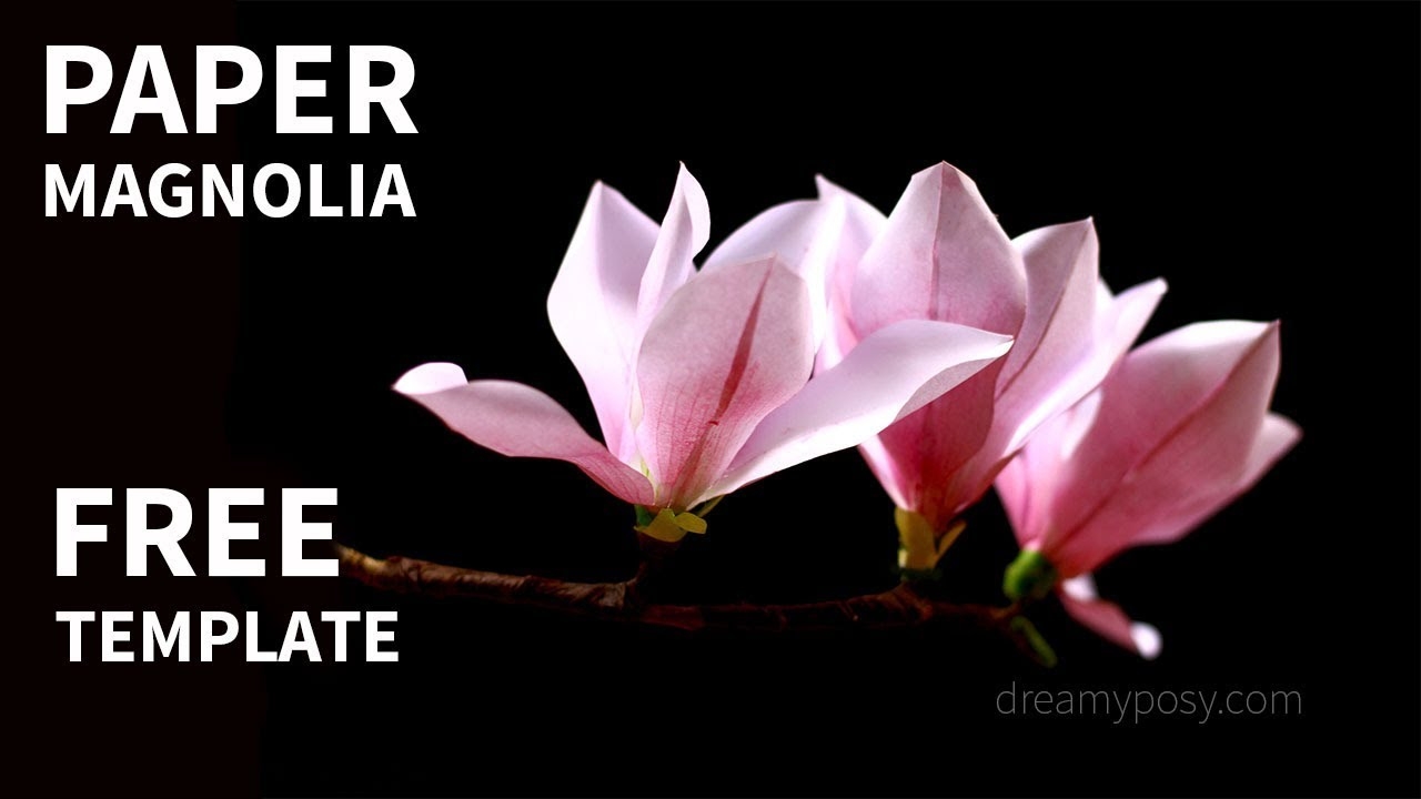How To Make Paper Magnolia From Printer Paper FREE Template
