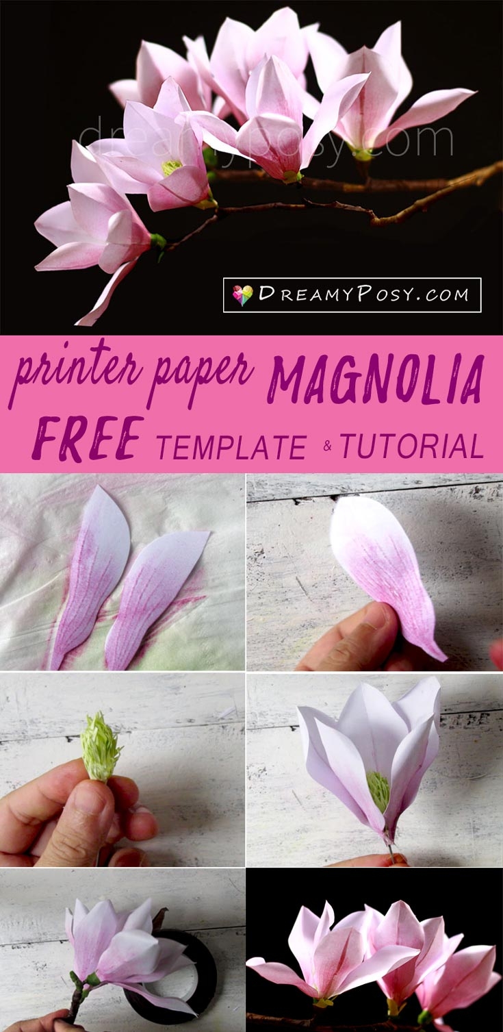 How To Make Paper Magnolia From Printer Paper FREE Template