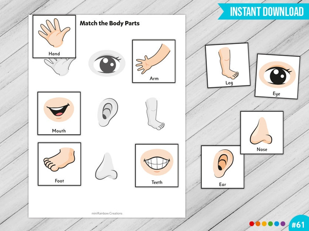 Printable Body Part Worksheet For Preschool