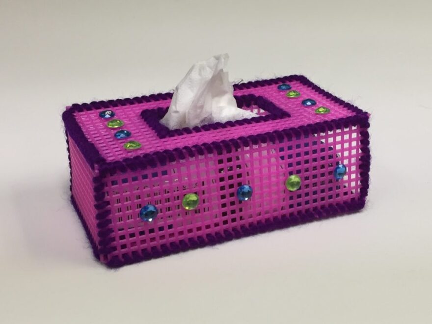 Plastic Canvas Tissue Holder Craft
