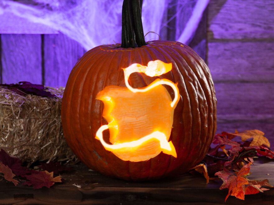Pop Culture Pumpkin Carving Stencils That Scream 2019 Printables HalloweenCostumes Blog
