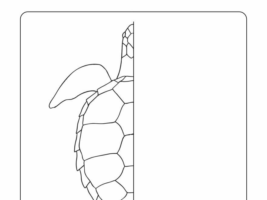 Printable Symmetry Turtle Class Playground