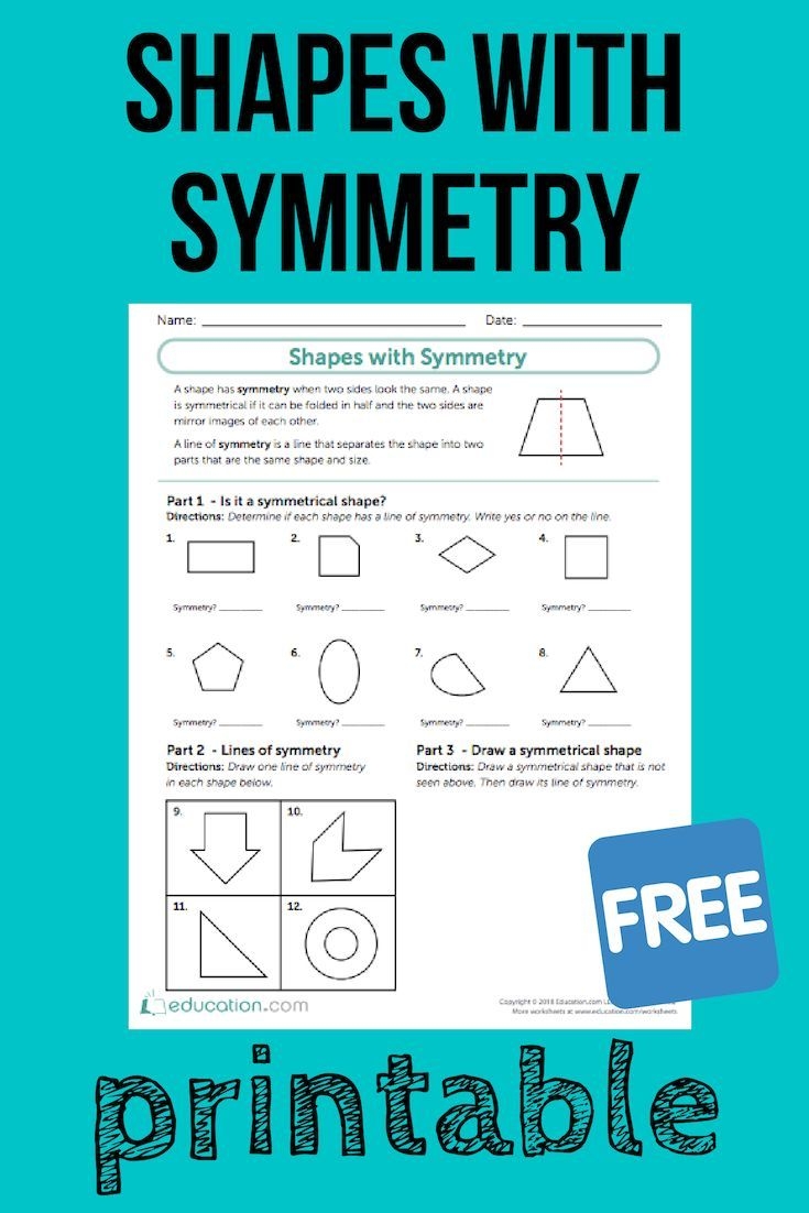 Shapes With Symmetry Worksheet Education