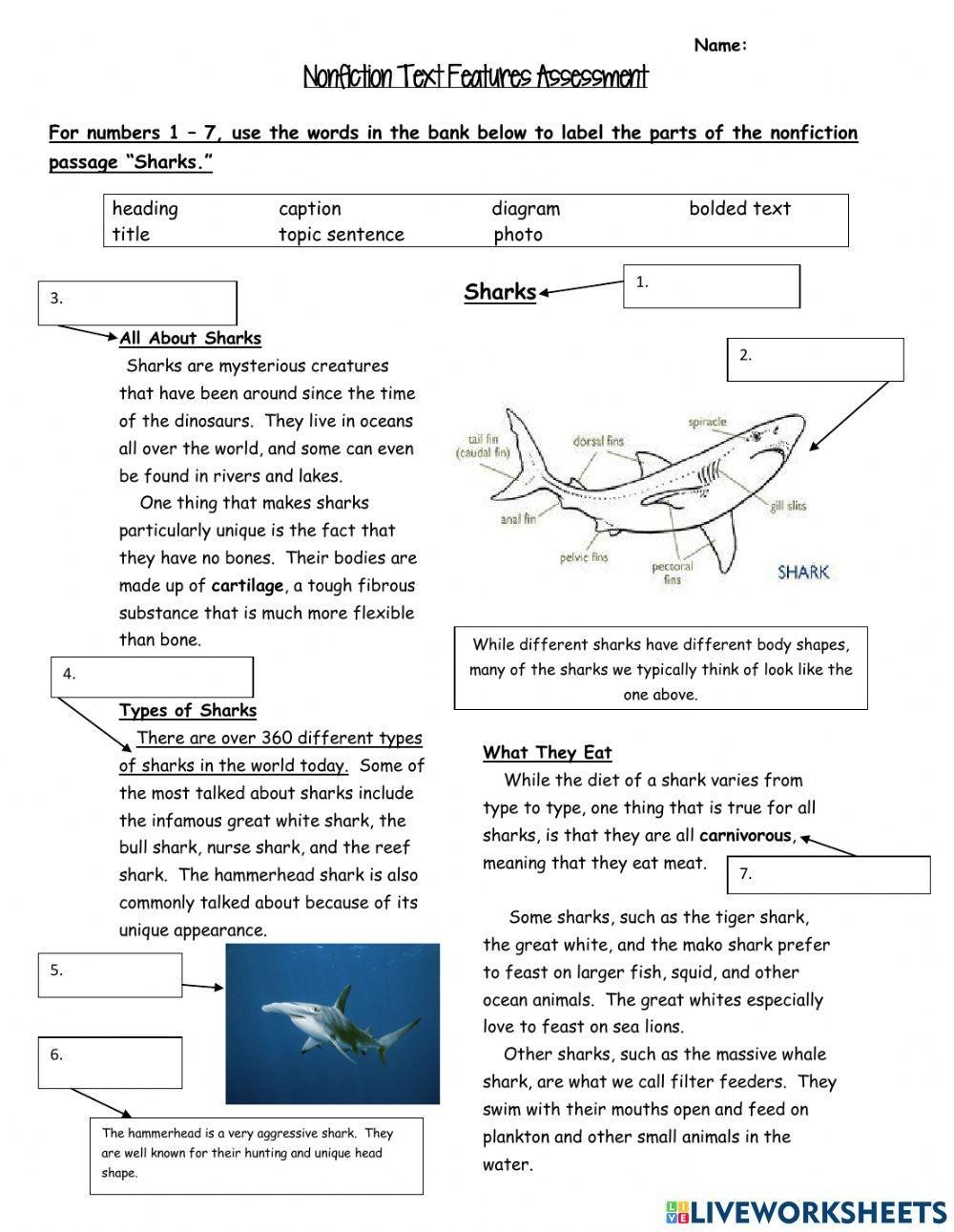 Identifying Text Features 2nd Grade Free Printable Worksheet