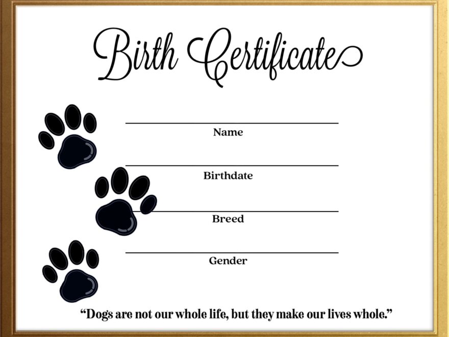 Simple Dog Canine Birth Certificate Instant Download Printable Template Gold Frame Breeder Resource Etsy