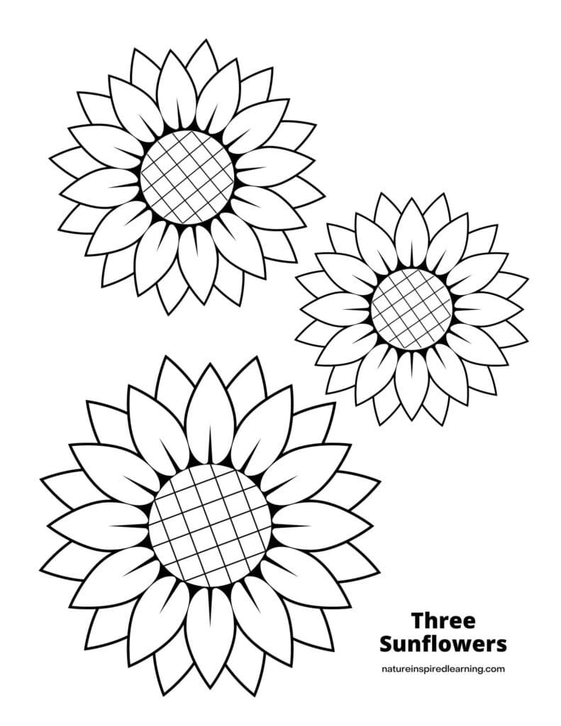 Sunflower Coloring Pages For Kids Nature Inspired Learning