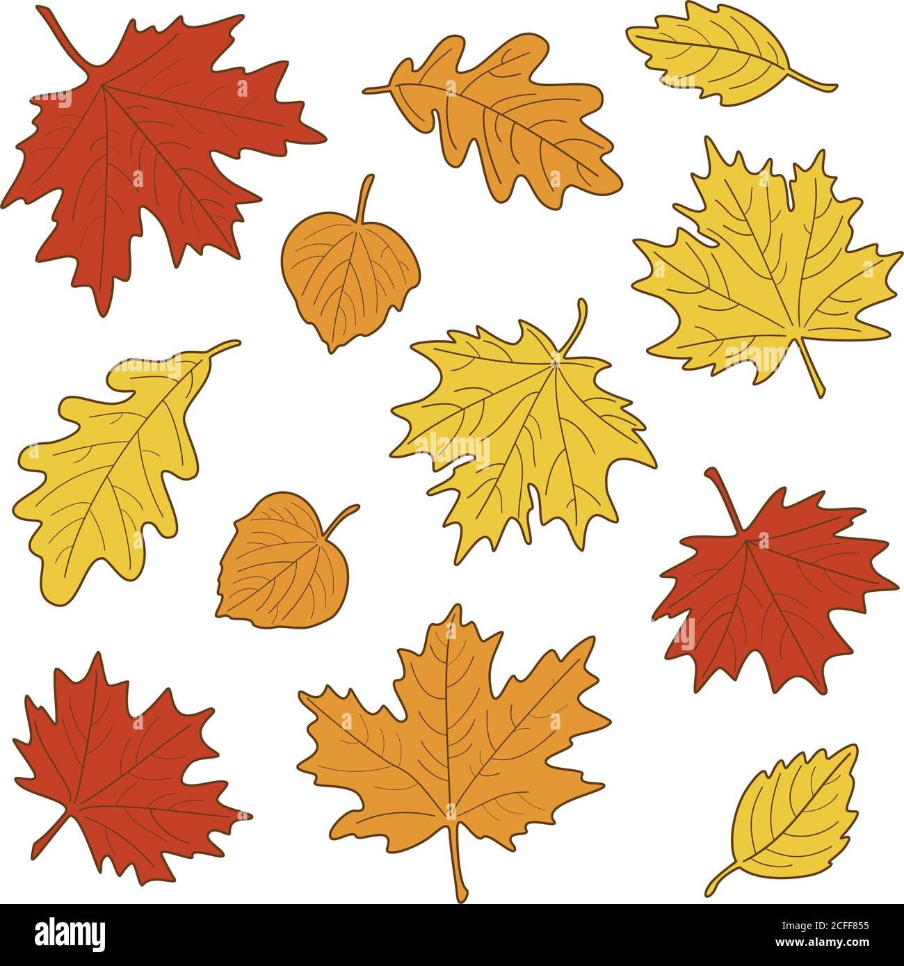 Vector Illustration Set Of Bright Realistic Autumn Leaves Fall Leaves Background Maple Linden Oak And Birch Leaves Stock Vector Image Art Alamy