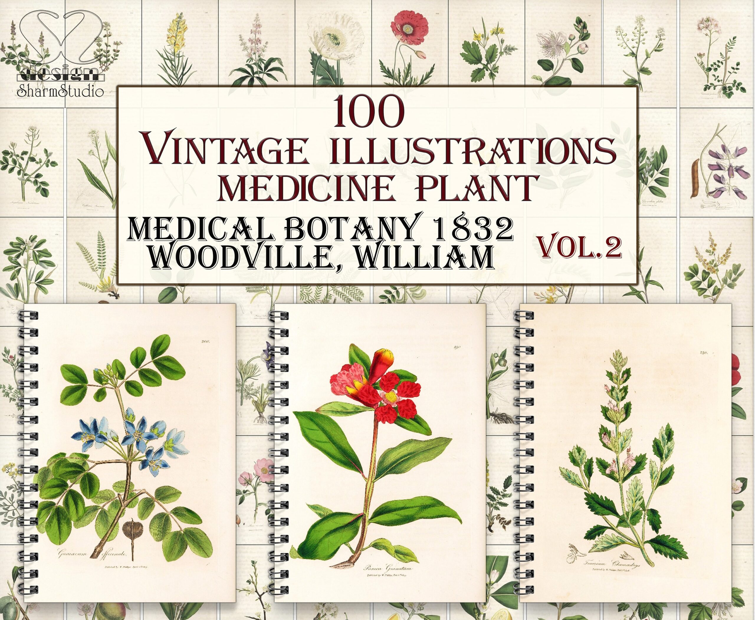 Vintage Medicine Botany Plants botanical Pages herbal Plant medical Botany 2 Illustrations Etsy