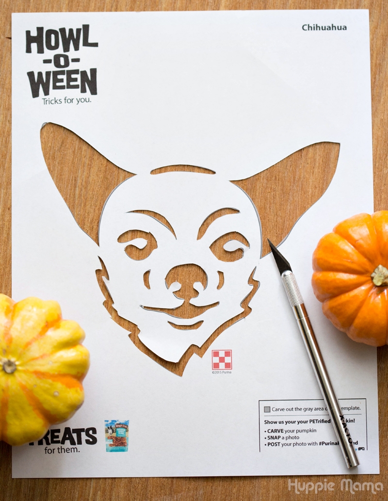 Carve A Dog Pumpkin Our Potluck Family Carve A Dog Pumpkin Our Potluck Family