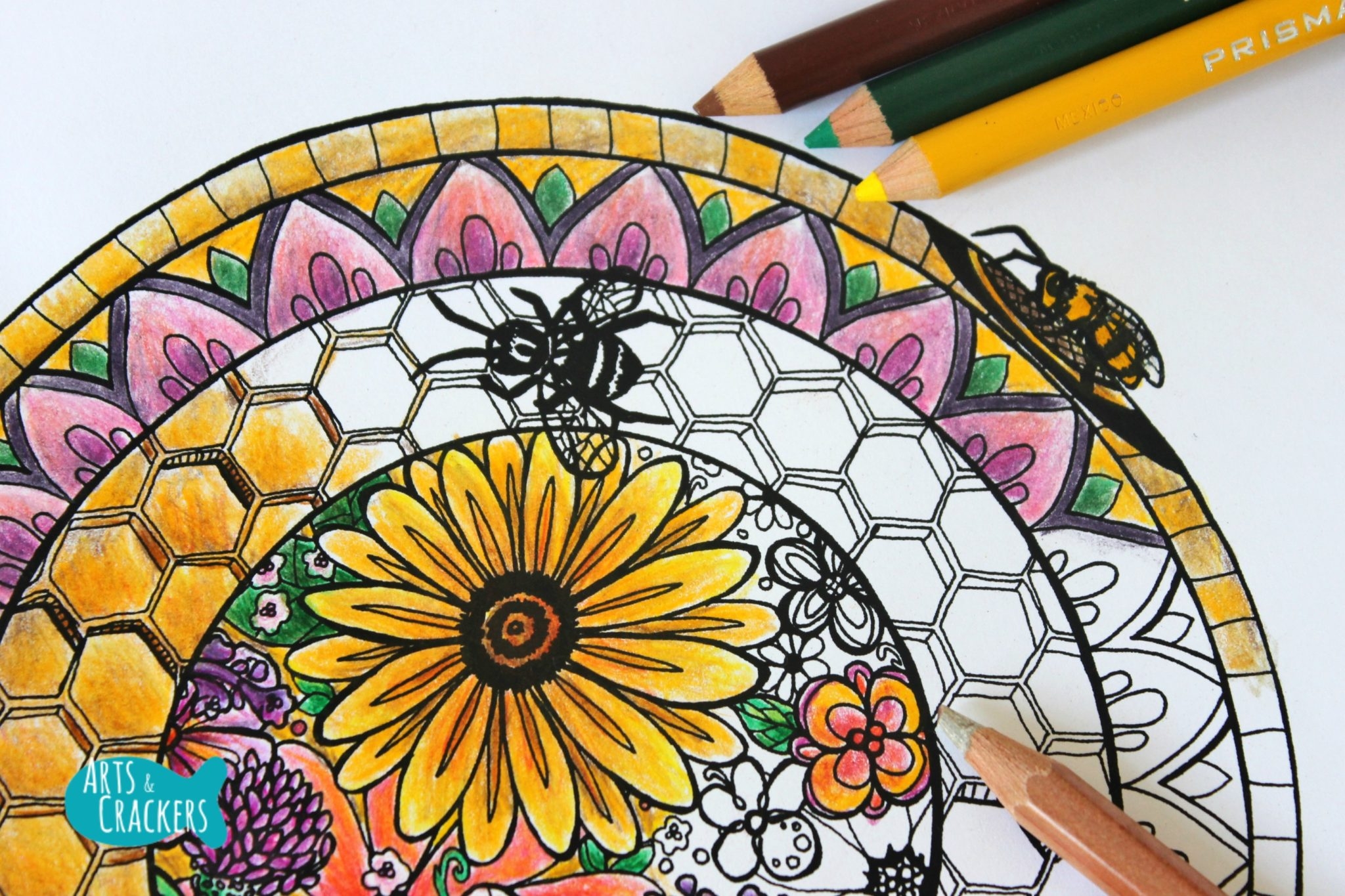 FREE Honey Bee Hive Mandala Adult Coloring Page