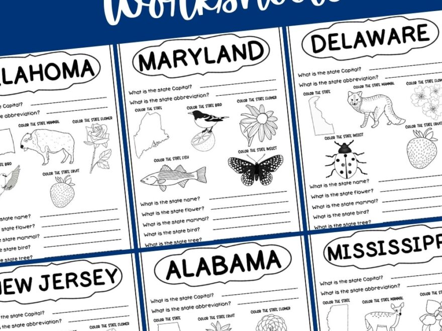 States And Capitals Worksheets Kids Activity Zone